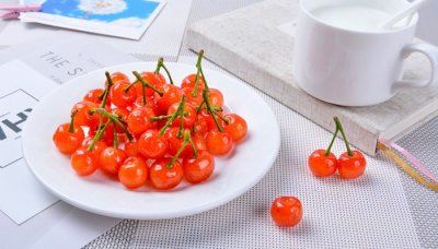 ​长芒杜英果实可以吃吗