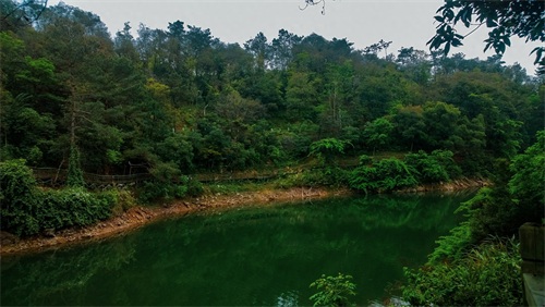 厦门天竺山森林公园