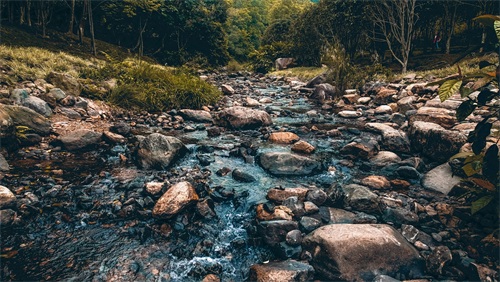 厦门天竺山森林公园
