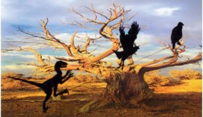 ​爬行类动物是鸟类的祖先？连恐龙都脱不了干系