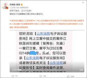 ​江歌母亲：诉刘鑫案申请强制执行，已通过审核立案成功