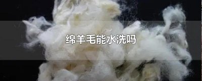​绵羊毛能水洗吗