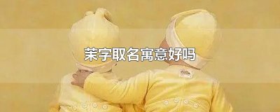 ​茉字取名寓意好吗