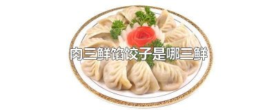 ​肉三鲜馅饺子都有什么馅的 肉三鲜的饺子是什么馅儿的