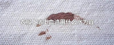 ​衣服上沾上血迹用什么水为宜