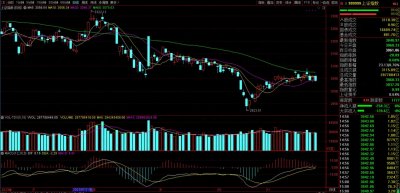 ​比亚迪为何突然大跌？