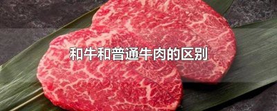 ​和牛与普通牛肉区别在哪 和牛与普通牛肉区别图片