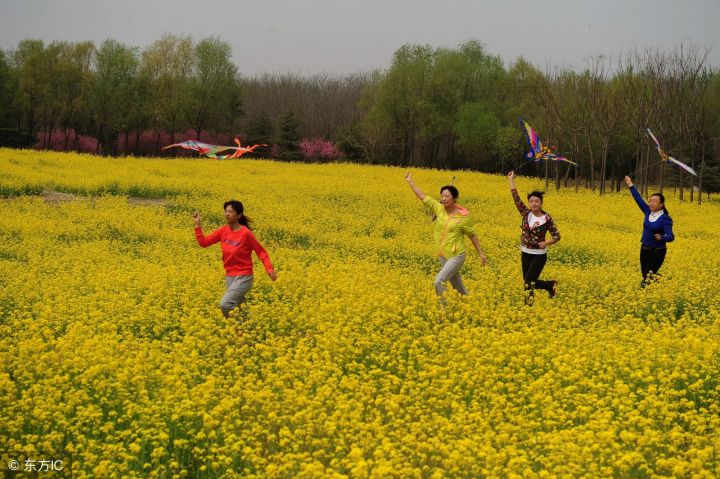 节日的习俗有哪些（盘点我国的9个传统节日习俗）