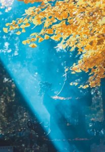 ​密云两日游攻略自驾游