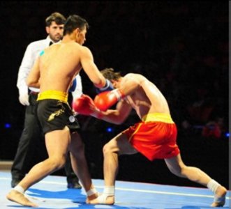 ​散打与自由搏击技术动作的区别