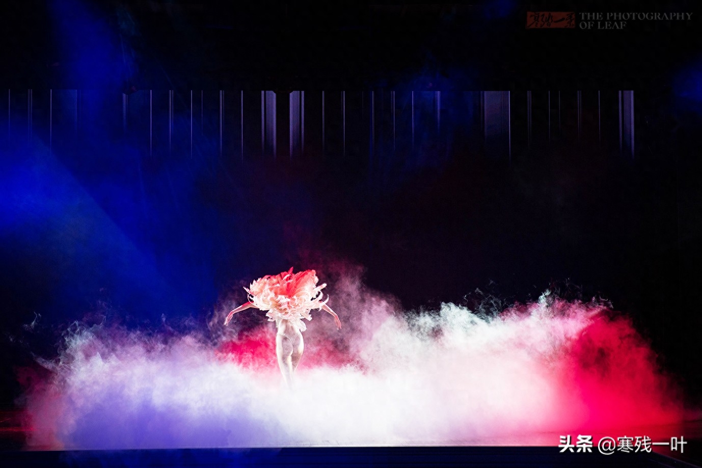 法国最精彩的歌舞表演,被称为“无上装的高雅艺术”,你怎么看?