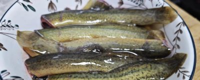 ​男人的能量站！常吃这3种食物，身体强壮，精力充沛