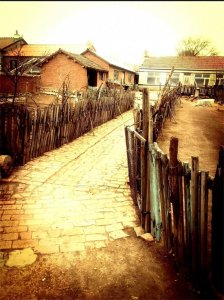 ​黑龙江率先开展合村并镇，以后是否会全国开展？