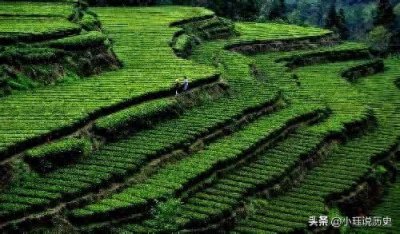 ​脍炙人口的《清明》一诗，作者到底是谁？杜牧不会在意的