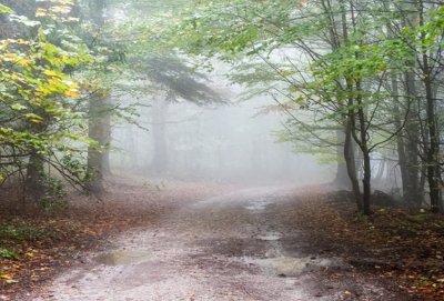 ​四川神秘“黄泉路”，曾被下令封禁400年，至今仍是国内一级禁区