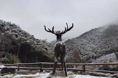 ​直播杭州 | 下雪啦！杭州各处雪景美图都在这里，清凉峰那里“冻得鞋带都炸毛”
