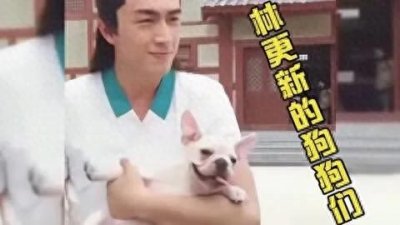 ​林更新为什么叫林狗呢？