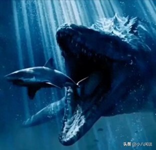 ​马里亚纳海沟发现可怕的东西