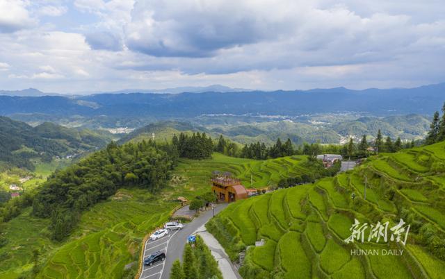 三、紫鹊界梯田旅游区