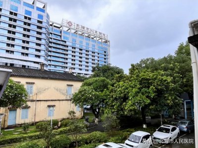 ​【院史故事 6】 “神秘”的牛油果树