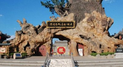 ​揭秘当年洪洞大槐树移民的真相，你可能也是从大槐树走出来的！