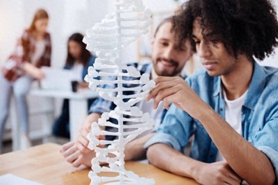 ​失去的民族之卡尔梅克：世界的卡尔梅克