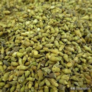 ​高鹏说药材：市场关注品种槐米后市行情走势简析