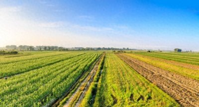 ​揭秘：什么样的农业才能称得上生态农业?