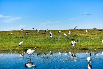 ​黑龙江齐齐哈尔旅游景点推荐，最值得打卡的4个齐齐哈尔旅游景点