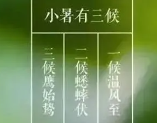 小暑是什么季节,二十四节气里面的处暑是什么意思图1