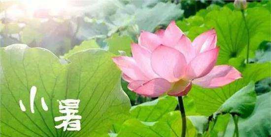 小暑是什么季节,二十四节气里面的处暑是什么意思图4