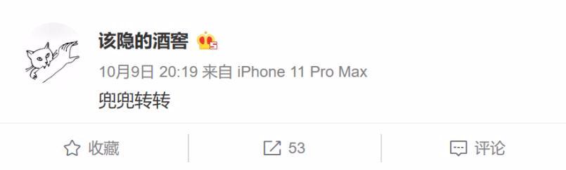 网红沉珂现在怎么样(网红鼻祖最新恋情曝光)(41)