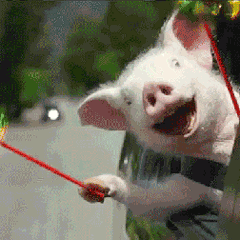 网红沉珂现在怎么样(网红鼻祖最新恋情曝光)(4)