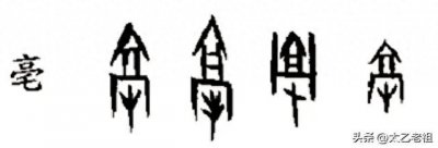 ​安徽亳州历史上的帮派之安青帮