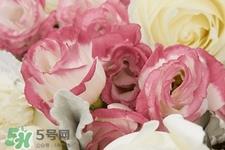 情人节送什么颜色花好？情人节送什么颜色玫瑰好？