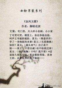 ​古言 || 女扮男装系列