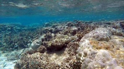 ​三峡工程旅游区三峡风景旅游区