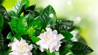 ​大理石台阶大理石楼梯台阶铺贴方法