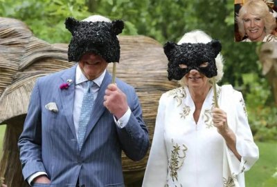 ​卡米拉要和查尔斯离婚，急什么怕什么