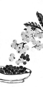 ​枇杷 不止孙大圣爱吃