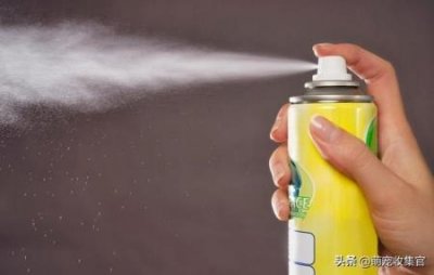 ​狗狗吃了洋葱怎么处理？？狗吃了洋葱该怎么办？