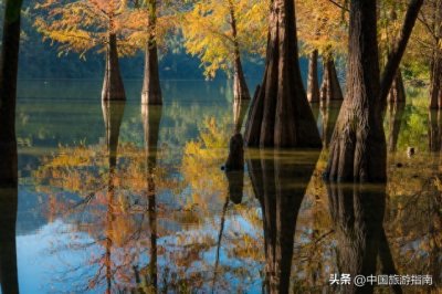 ​广州必去的20个地方，去过10个以上算合格，去过18个以上不简单！