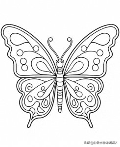 ​45幅蝴蝶简笔画线稿，够你画半年哟