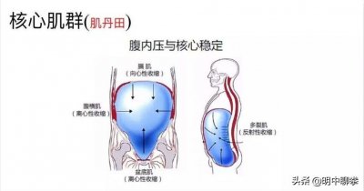 ​丹田核心功法之内转丹田,丹田就像发动机,转换一瞬间内劲节节贯串