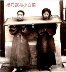 ​晚清奇案：杨乃武与小白菜冤案背后的真相与启示