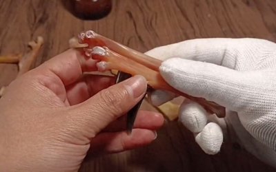 ​这5种文玩，堪称“文玩圈败笔”，全是一文不值的“垃圾”