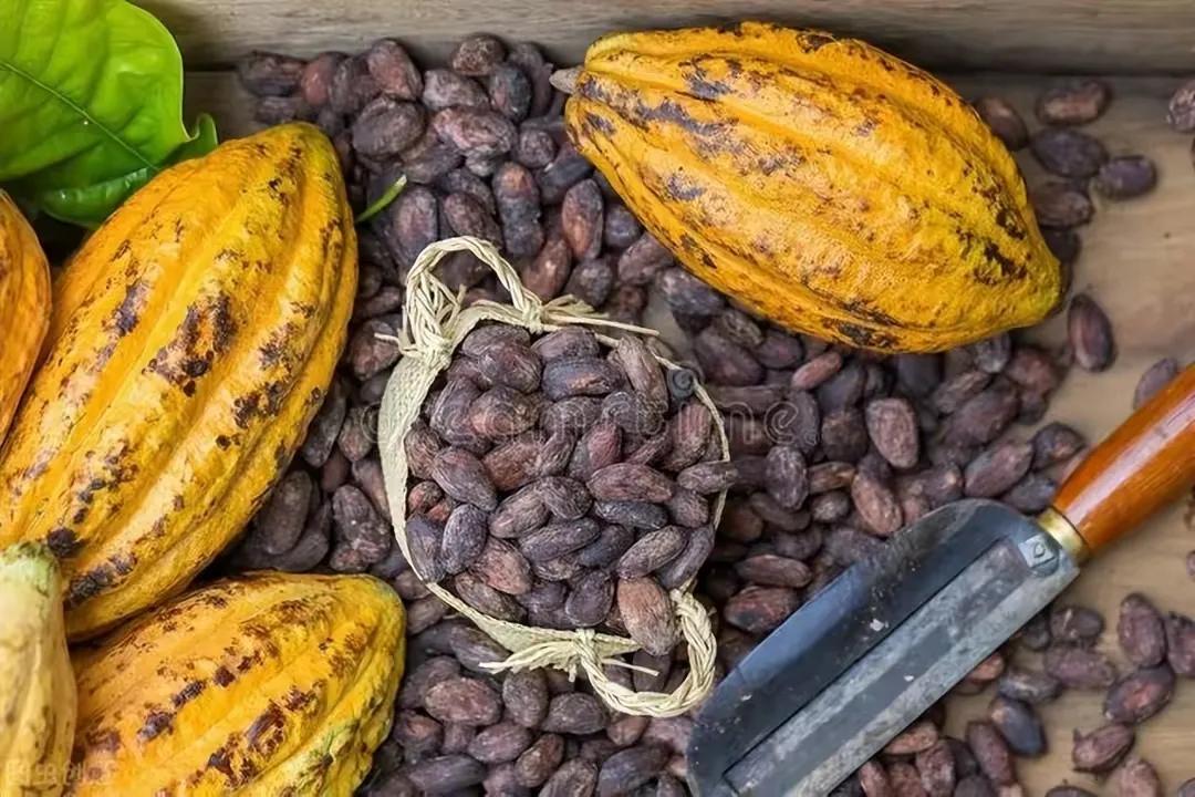 加纳是哪个国家 (加纳是什么国家)-图14 加纳是哪个国家 (加纳是什么国家)-图14