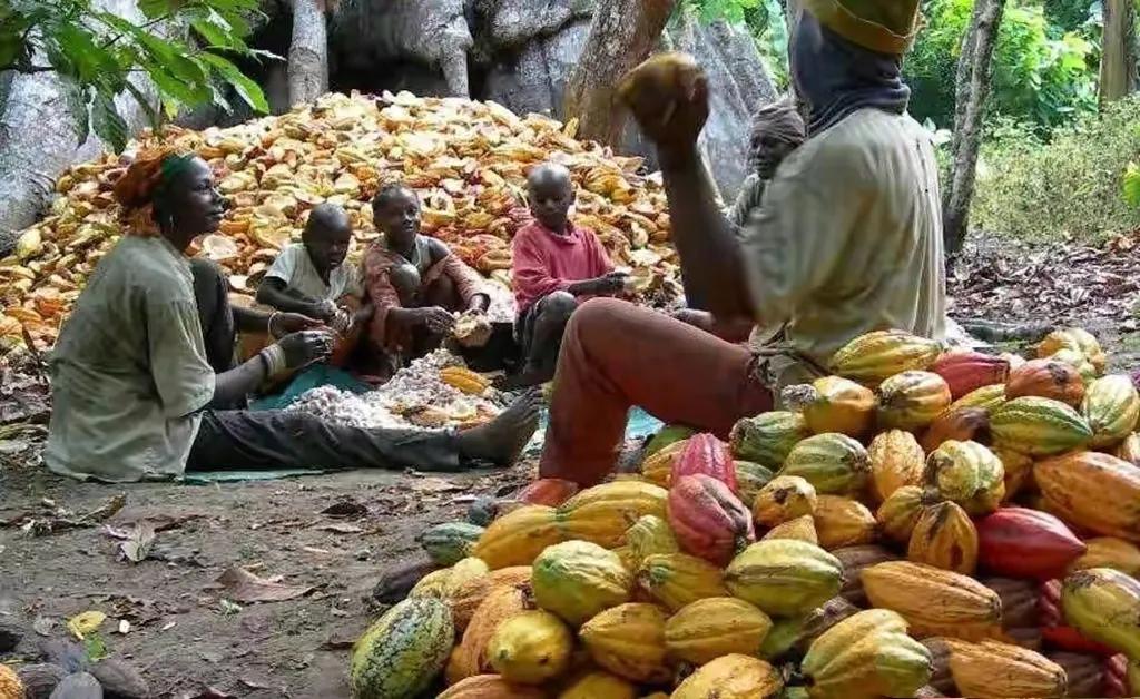 加纳是哪个国家 (加纳是什么国家)-图20 加纳是哪个国家 (加纳是什么国家)-图20