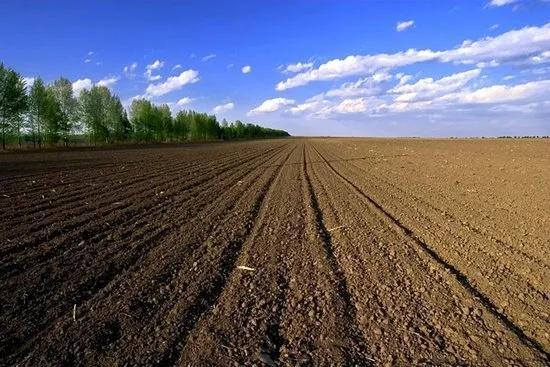 加纳是哪个国家 (加纳是什么国家)-图4 加纳是哪个国家 (加纳是什么国家)-图4