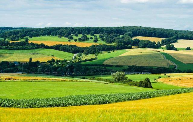 精品农业市场分析（休闲农业市场营销组合之价格策略）(2)